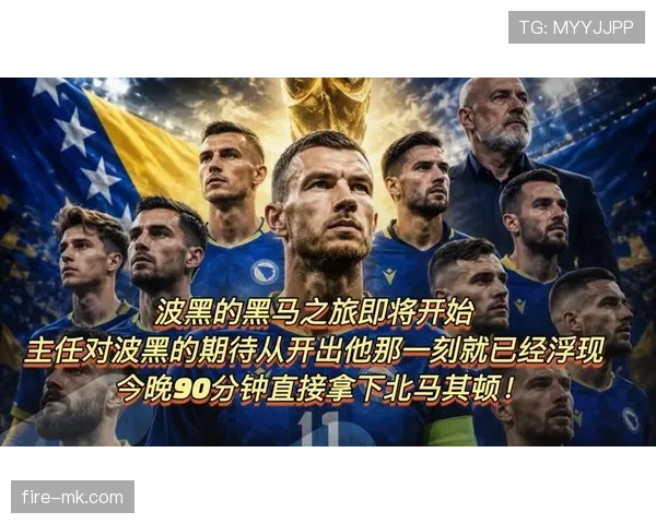波黑队为何被看好成为黑马